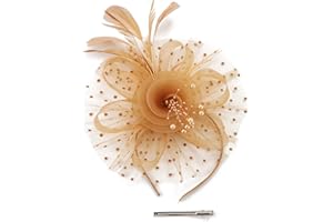 fghuim Women's Organza Church Kentucky Derby British Bridal Tea Party Wedding Hat Feather Hair Clip Fascinators Hat