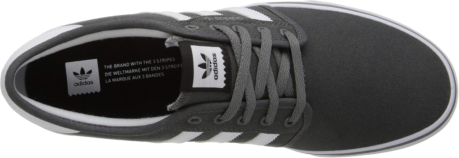  | adidas Originals Men's Seeley Sneaker | Skateboarding
