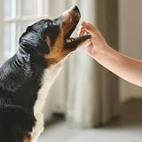 Beaphar Herbal Calming Tablets for Cats & Dogs – Non-Drowsy Relief view 6