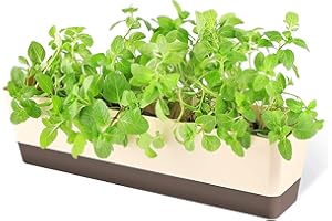 GREANER Window Boxes, 1 Pack 16 x3.8 Inch Indoor Rectangle Planter, Herb Succulent Cactus Window Box with Saucer, Modern Plastic Plant Pot for Windowsill, Garden Balcony, Home Office Outdoor Decor