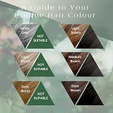 Its Pure Organic Indigo Black Hair Dye 100g by Its Pure view 5