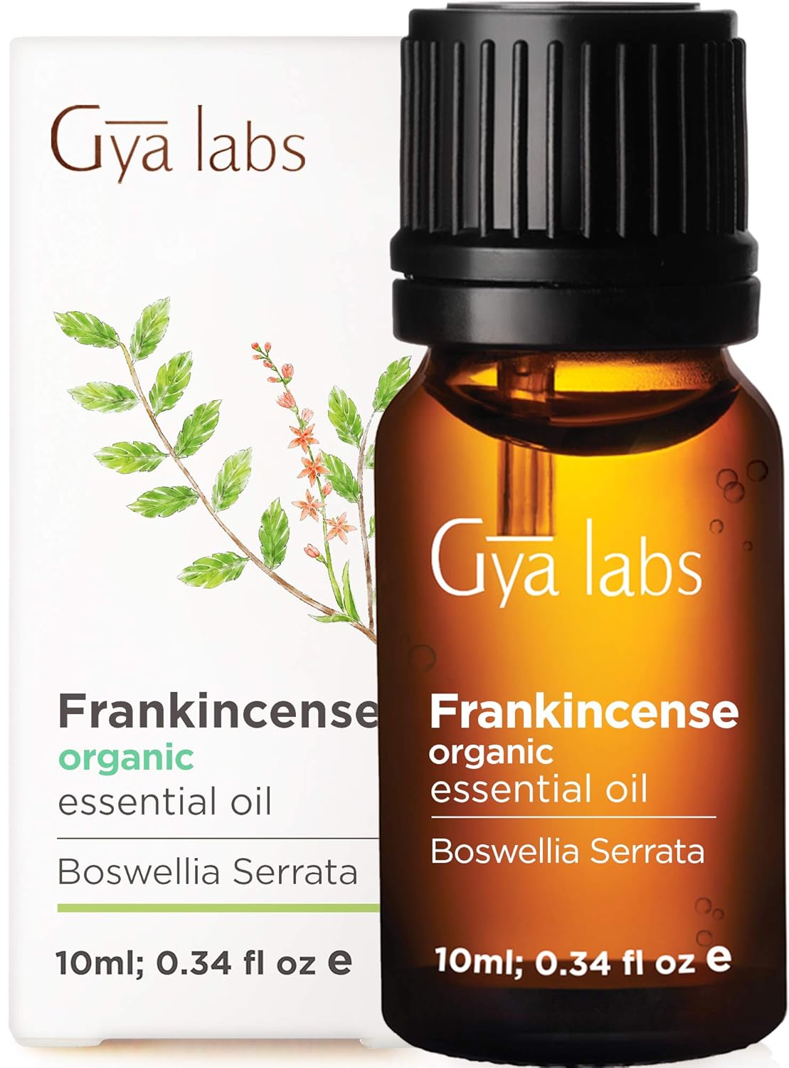 Gya Labs Organic Frankincense Essential Oil for Meditation & Relaxation - Natural Skin Care for Fine Lines, Wrinkles & Sensitive Skin - 100% Pure Therapeutic Grade for Aromatherapy & Topical - 10ml : Beauty