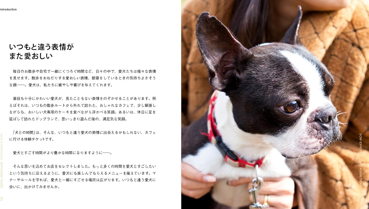 Amazon 犬との時間 Sow Experience カタログギフト 通販