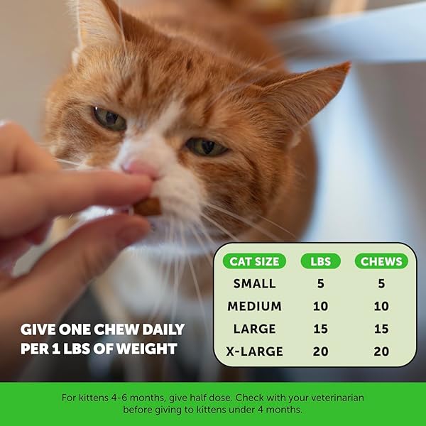 CAT URINARY TRACT HEALTH CRUNCHY & CREAMY CHEWS – PROMOTES HEALTHY DIGESTION & NORMAL BLADDER FUNCTION WITH CRANBERRY, ANTIOXIDANTS, & PROBIOTICS – GUT + BLADDER SUPPORT SUPPLEMENT (30 DAY SUPPLY)