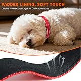 Taglory Reflective Nylon Dog Collar Safety Buckle XS Red view 4