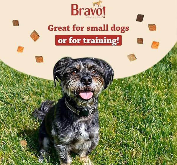 BRAVO! BONUS BITES SINGLE INGREDIENT FREEZE DRIED RAW DOG TREATS, SALMON, 2 OUNCE, HIGH PROTEIN, GRAIN FREE, GLUTEN FREE
