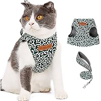 Amazon.co.uk Best Sellers: The most popular items in Cat ...
