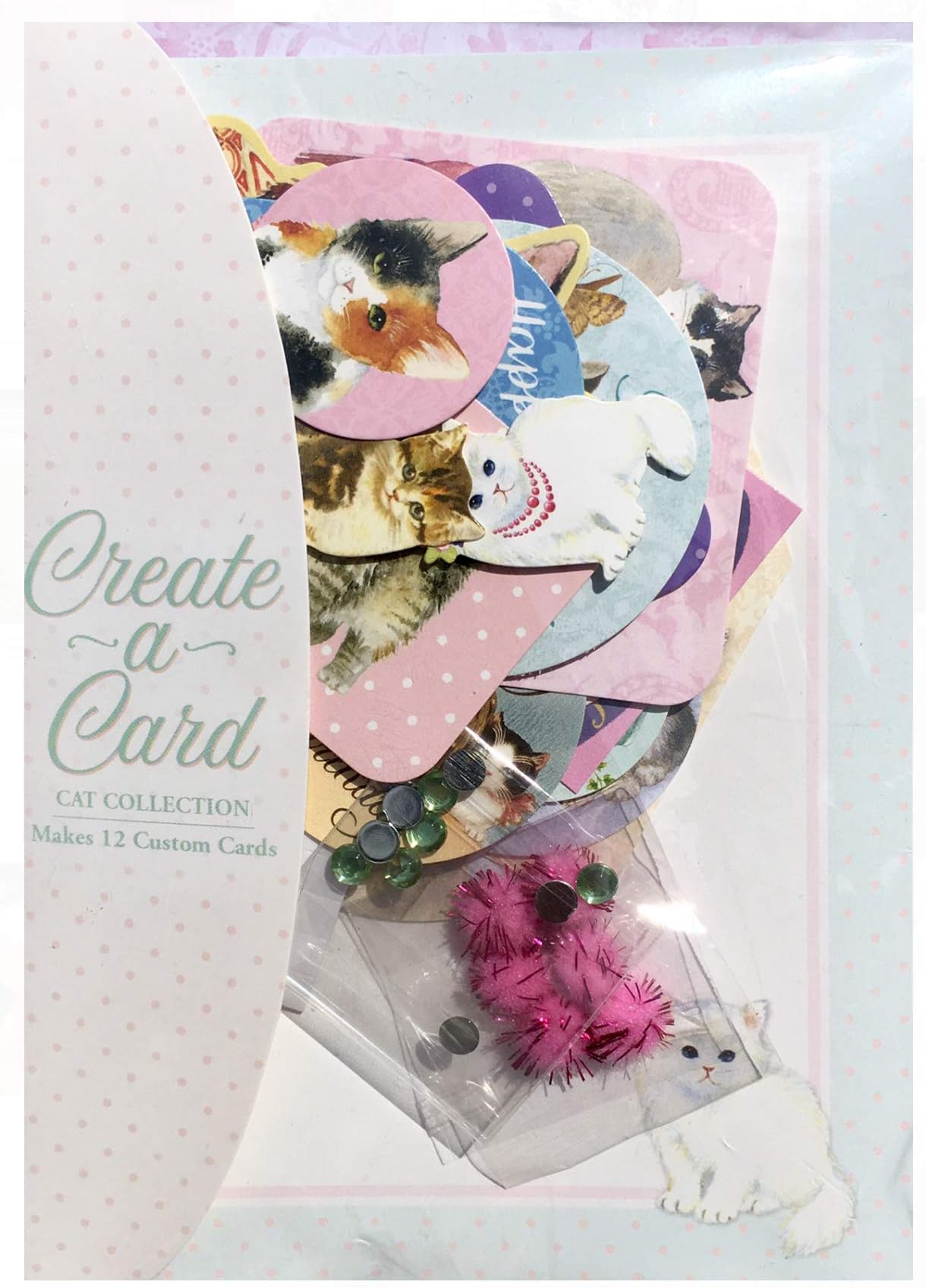 Punch Studio 63109 Create a Card Cat Collection Card Making Kit, Makes 12 Custom Cards
