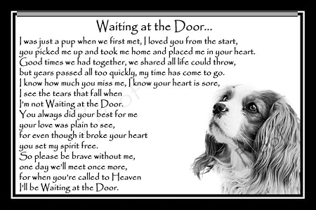 King Charles Spaniel Pet Dog Bereavement Memorial Print Unframed Waiting At The Door Amazon Co Uk Kitchen Home