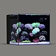 Landen 45P 20 Gallon Ultra Clear All Glass Rimless Low Iron Aquarium Tank with Rear Filtration Chamber(Return Pump Included)for Salt and Fresh Water.17.7''Wx17.7''Dx15.8''H in(45x45x40cm)6mm Thickness