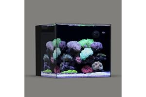 Landen 45P 20 Gallon Ultra Clear All Glass Rimless Low Iron Aquarium Tank with Rear Filtration Chamber(Return Pump Included)for Salt and Fresh Water.17.7''Wx17.7''Dx15.8''H in(45x45x40cm)6mm Thickness