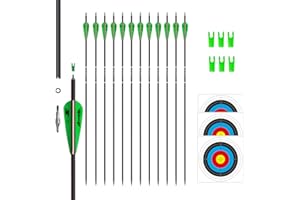 e5e10 31inch Carbon Arrow Archery Targeting Practice Hunting Arrows for Compound & Recurve Bow with Removable Tips(Pack of 12)