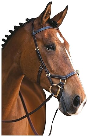 Rambo Micklem Multibridle