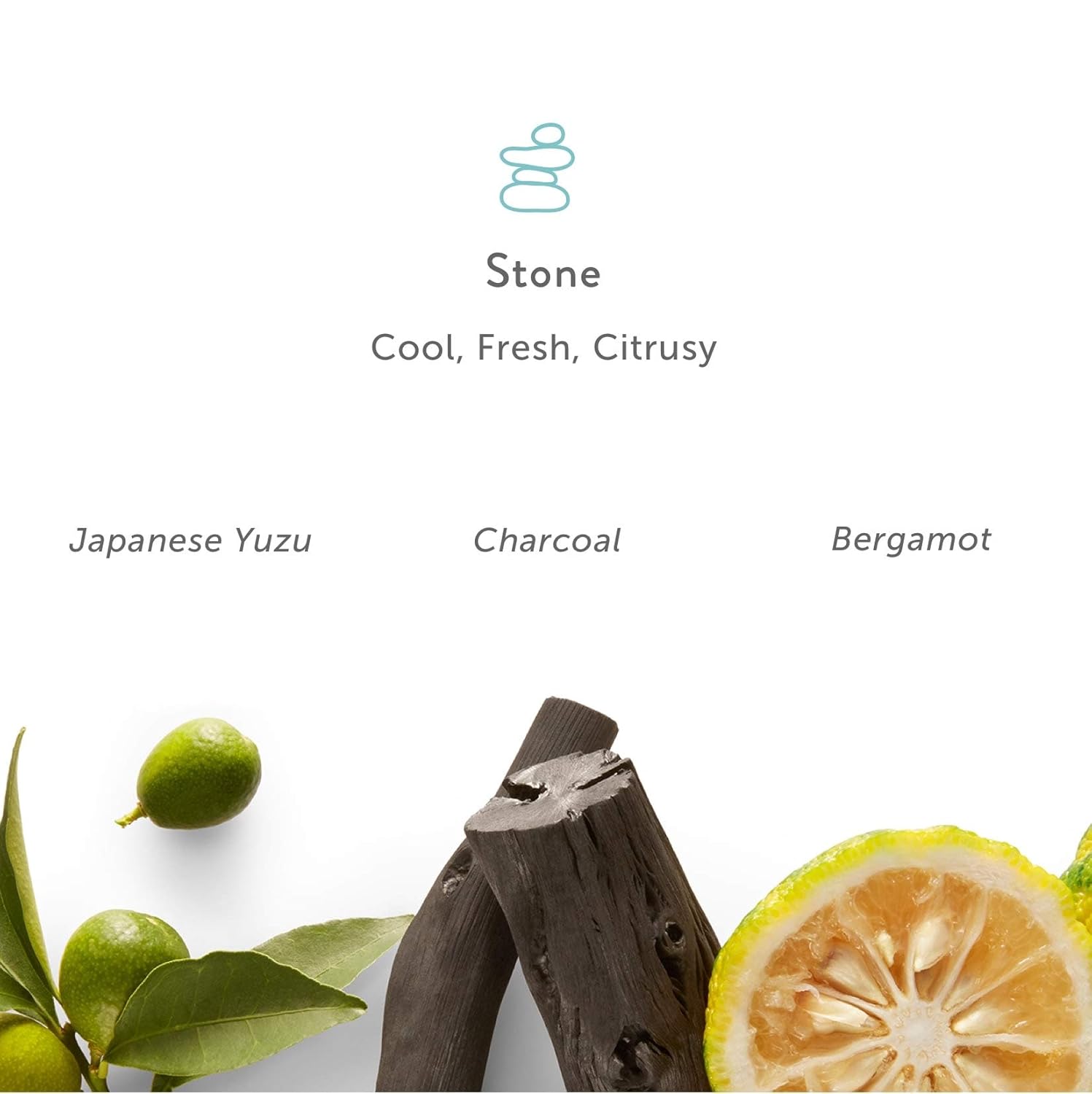 Harry's Men's Body Wash Stone, 64 Fl Oz (Pack of 4): Beauty