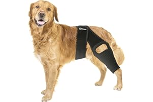 PetCove Dog Knee Brace, Size Large Dog Leg Brace, Dog Knee Brace for Torn Acl Hind Leg, Dog Leg Braces for Back Leg, Dog Acl Brace Hind Leg, Acl Brace for Dogs Rear Leg