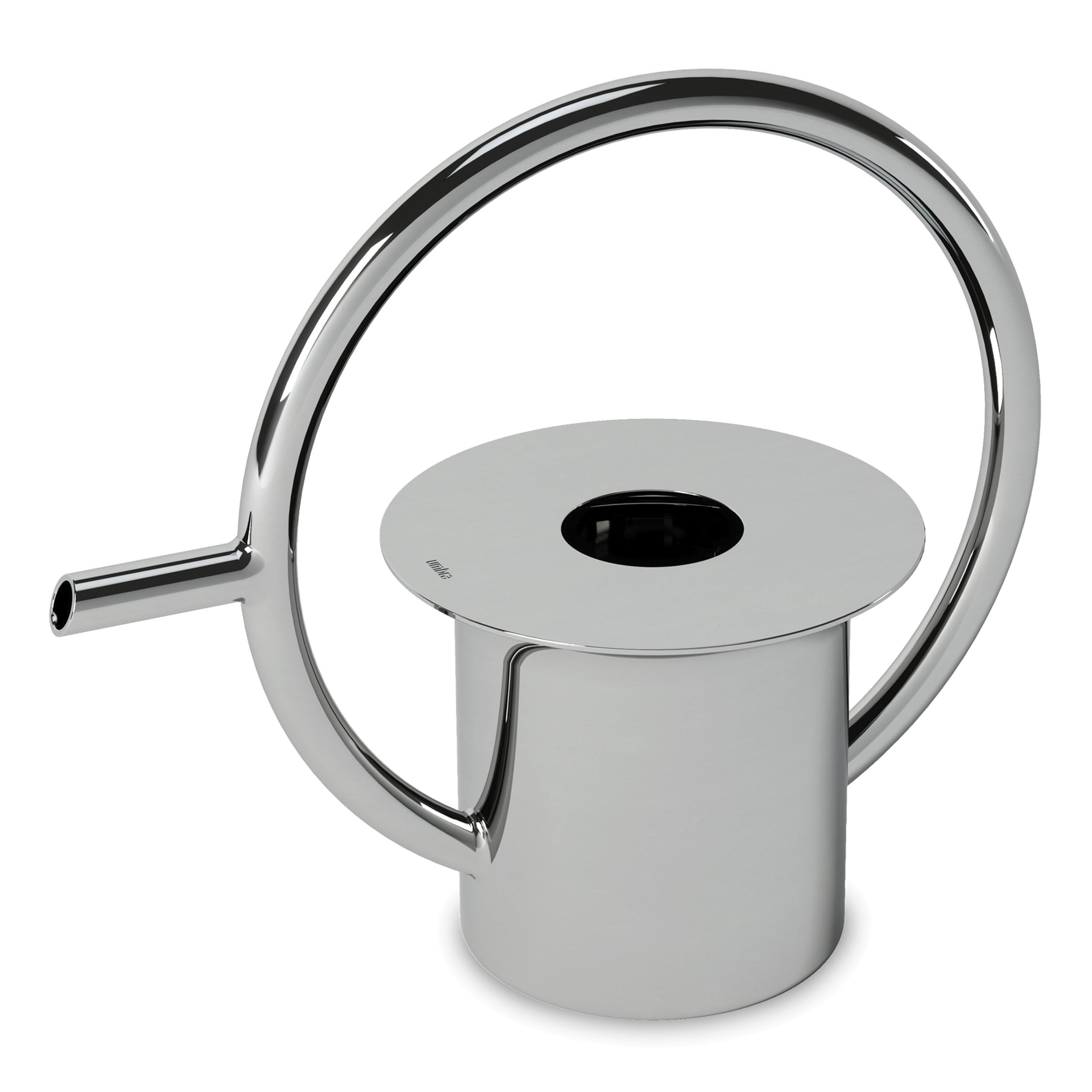 Umbra Quench Stainless Steel Watering Can, Pot for Outdoor or Indoor Plants