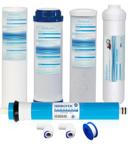 Cartouche Filtrante Grande Eau Ronaqua – Bloc Carbone 10" Big Blue, Pour Maison Entière, Scellée