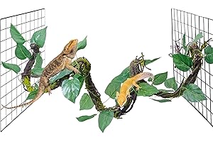 VCEPJH Medium Reptile Vines Thick Terrarium Plants 118 Inches Long Flexible Climbing Branch Lizard Tank Accessories Greenery Habitat Decor for Bearded Dragon Chameleon Gecko Frog Snake (M)