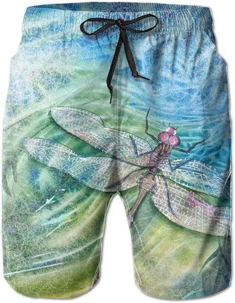 Bañador para hombre (mapamundi retro de la Tierra), Pintura de libélula