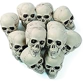 Fun Express White Plastic Realistic Skeleton Skulls 5 Inch for Halloween Party, Bar and Table Decorations, 12 Pack