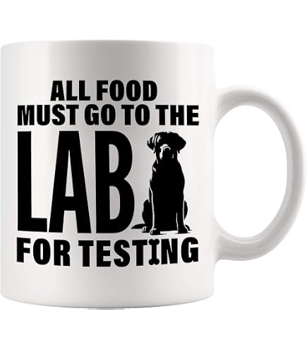 45 reviews of labradoodle lovers (Dog trainer) in Christchurch (Canterbury