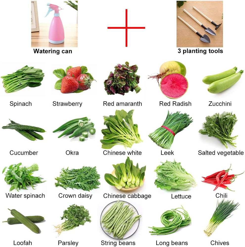 Vegetable Seeds -Easy to Grow - Variety of The Most Popular Vegetable Seeds for Planting-Garden Seeds Set Including Watering Can Planting Tools