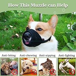 Mayerzon Dog Muzzle, Soft Mesh Muzzle for Small