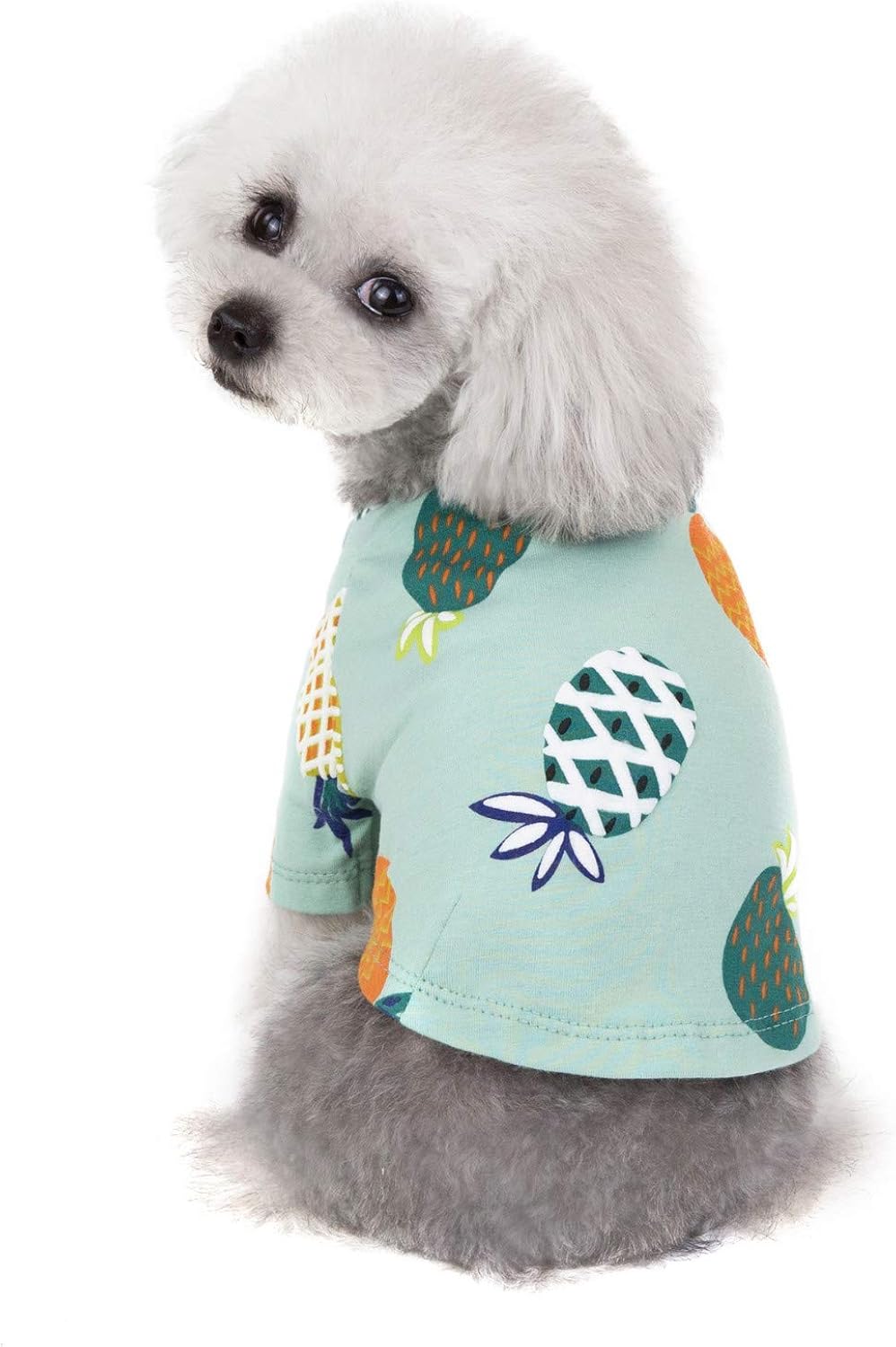 howstar pet clothes