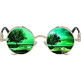 ROCKNIGHT Gothic Steampunk Round Polarized UV400 Protection Sunglasses Unisex Street Outdoor 48mm