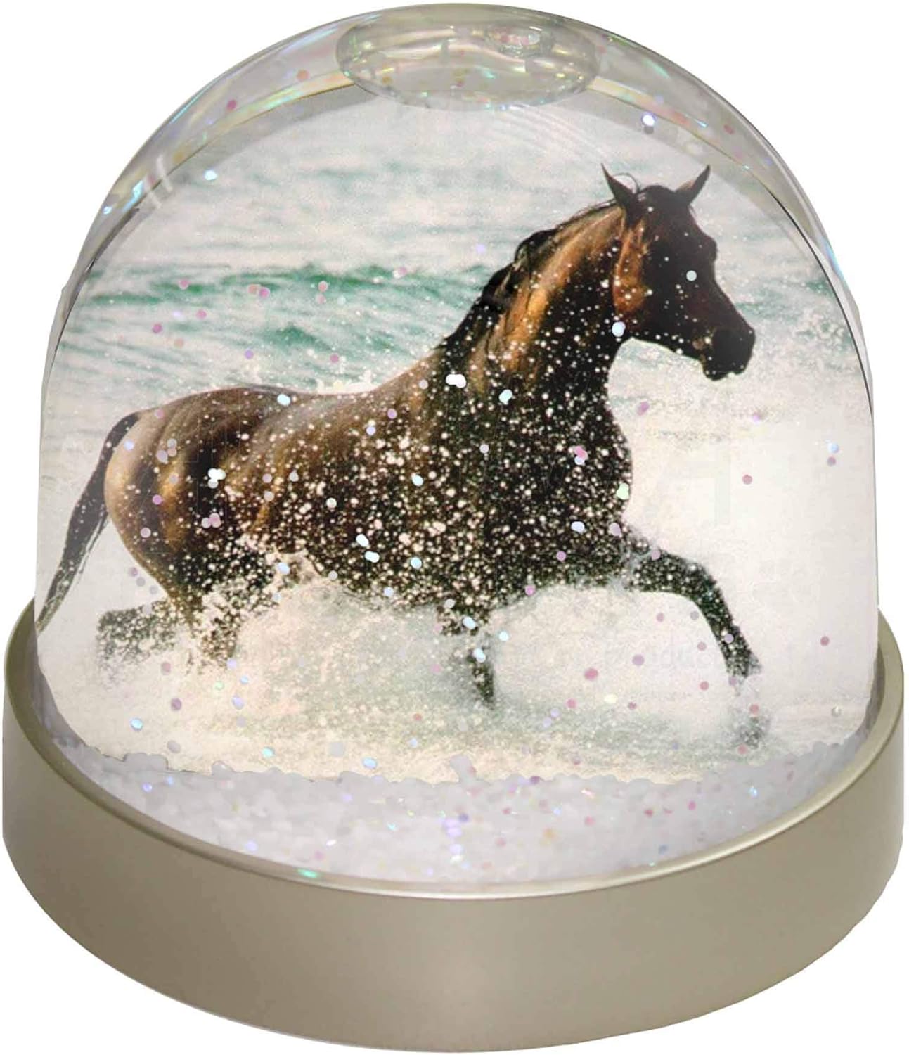 Amazon.de: Advanta Black Horse im Meer Schneekugel, Geschenk