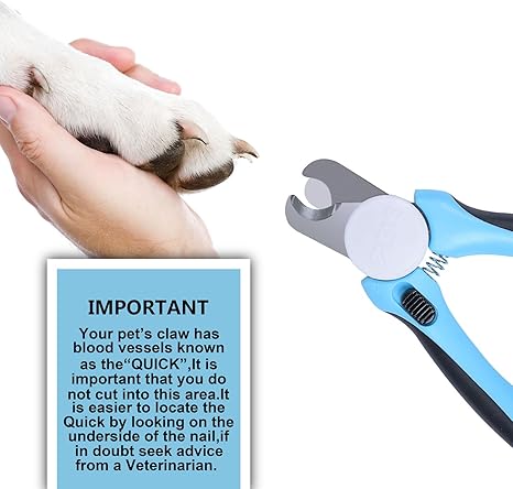 Coupe Ongles Coupe Griffe Clippers A Ongles Toilettage Pince Ciseaux Avec Une Lime A Ongle Pour Pet Animaux Chiens Et Chats Amazon Fr Animalerie