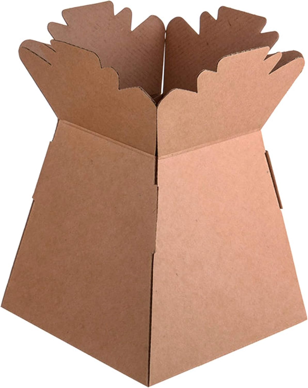 Living Vases Florist Bouquet Box Flower Plant Aqua Boxes ML Choose Quantity and 22 Colour