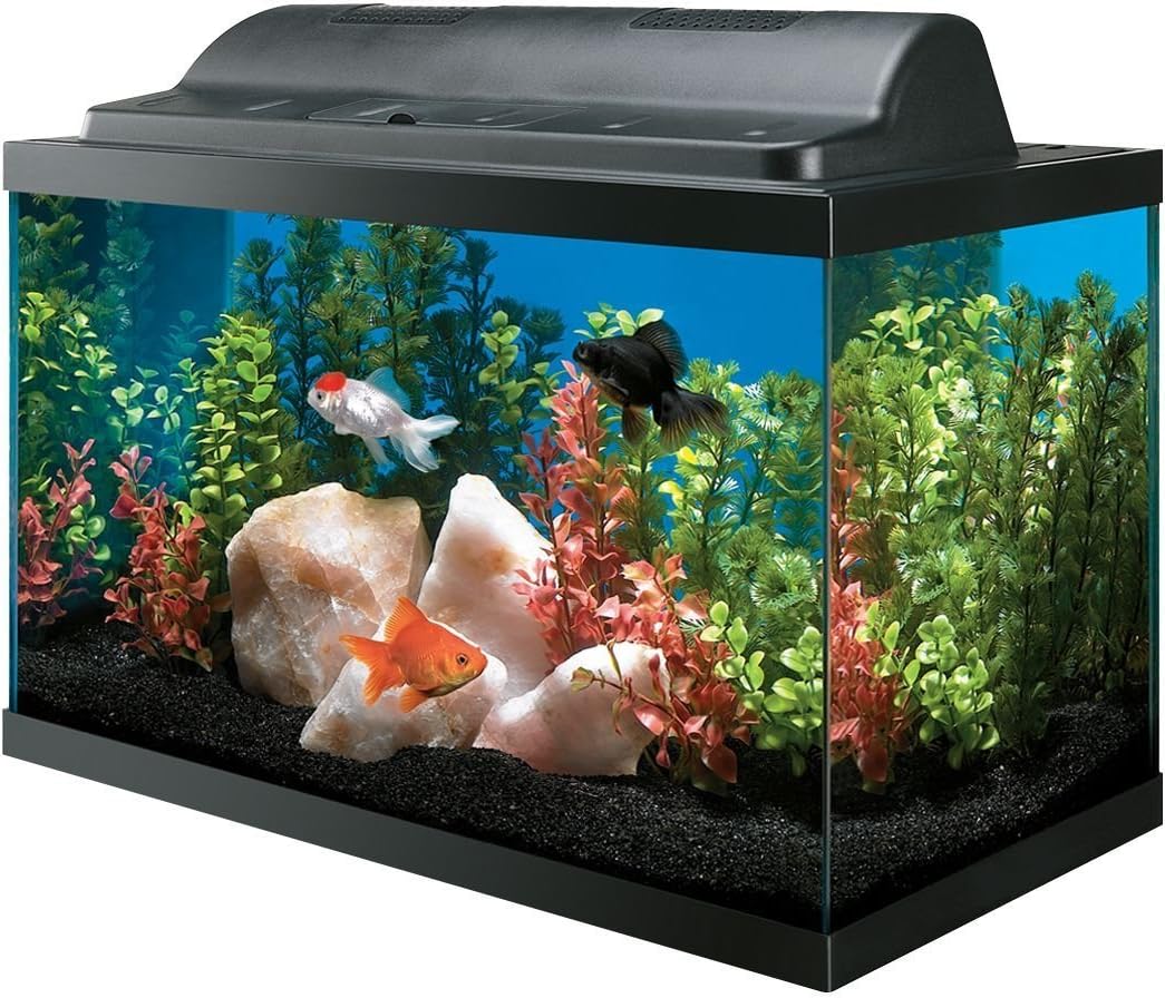 All Glass Aquarium AAG09009 Tank and Eco Hood Combo, 10-Gallon by All Glass Aquariums