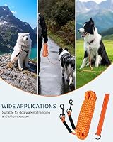 Taglory Training Lead for Dogs 10 m Reflective Nylon Orange view 7