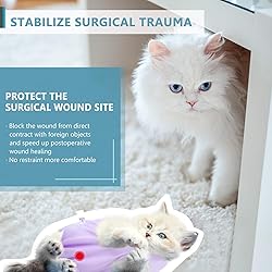 SUNFURA Recovery Suit for Cats After