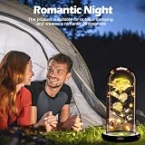 Touloube Galaxy Rose for Her in Glass Dome 20 LED Lights 22cm Gift view 2
