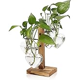 CYZglass Plant Terrarium Propagation Stations with Wooden Stand, Glass Vase for Indoor Hydroponics Home Garden Office Decoration Gift for Women - 4 Love Bulb Vase