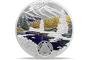 IMASONER 1 Month Sobriety Coin January AA Chip, Winter Recovery Token Medallion with Serenity Prayer, Sober Gift for Men & Women, Alcoholics Anonymous AA Coin for 1 Month Milestone & Anniversary