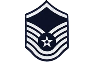 CUSTOM Air Force Dress Chevrons - Pair, Large or Small, Choose Your Size