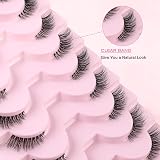 Sixstarhair Half Lashes Natural Look 10 Pairs Cat Eye Wispy Clear Band view 5