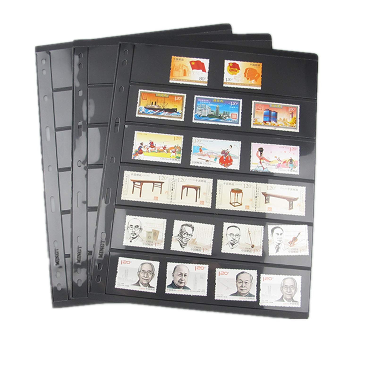 MUROAD Stamp Pages for Stamp Album Binder, 10 Sheet 6S Pages for Collectors, Professional Pack (6 Rows)