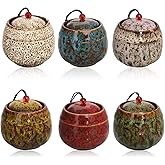 Patscorai Small Urns for Human Ashes, Set of 5 Decorative Cremation Keepsakes Made of Ceramic, Mini Urns for Adult Ashe, Pers