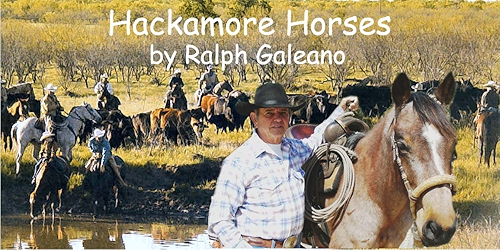 Download Hackamore Horses    A Cowboy Chatter Article (Cowboy Chatter Articles) (English Edition) PDF