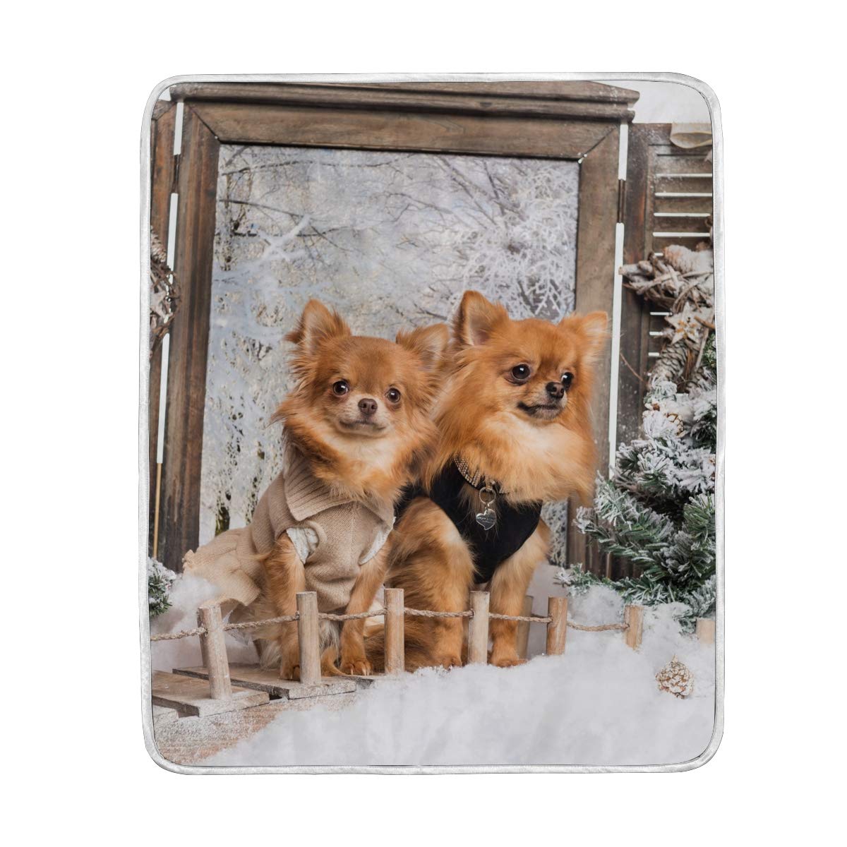 Mnsruu Super Soft Throw Blankets Two Chihuahuas Dogs Bedding Warm Lightweight Cozy Couch/Sofa Blanket (50 Inch x 60 Inch)