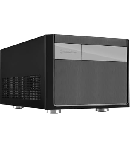 Amazon.com: Silverstone Tek Micro-ATX Desktop Computer Case with