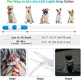 AUAUY LED Light Up Dog Collar Blue USB Rechargeable 70cm Reflective view 3
