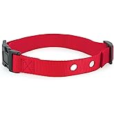PetSafe 1 Inch Replacement Collar Strap with 2 Holes, for Wireless Fence and In-Ground Fence Collars - for Dogs, Red
