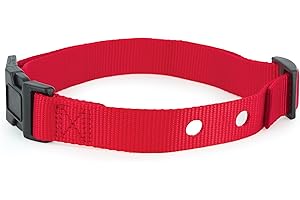PetSafe 1 Inch Replacement Collar Strap with 2 Holes, for Wireless Fence and In-Ground Fence Collars - for Dogs, Red