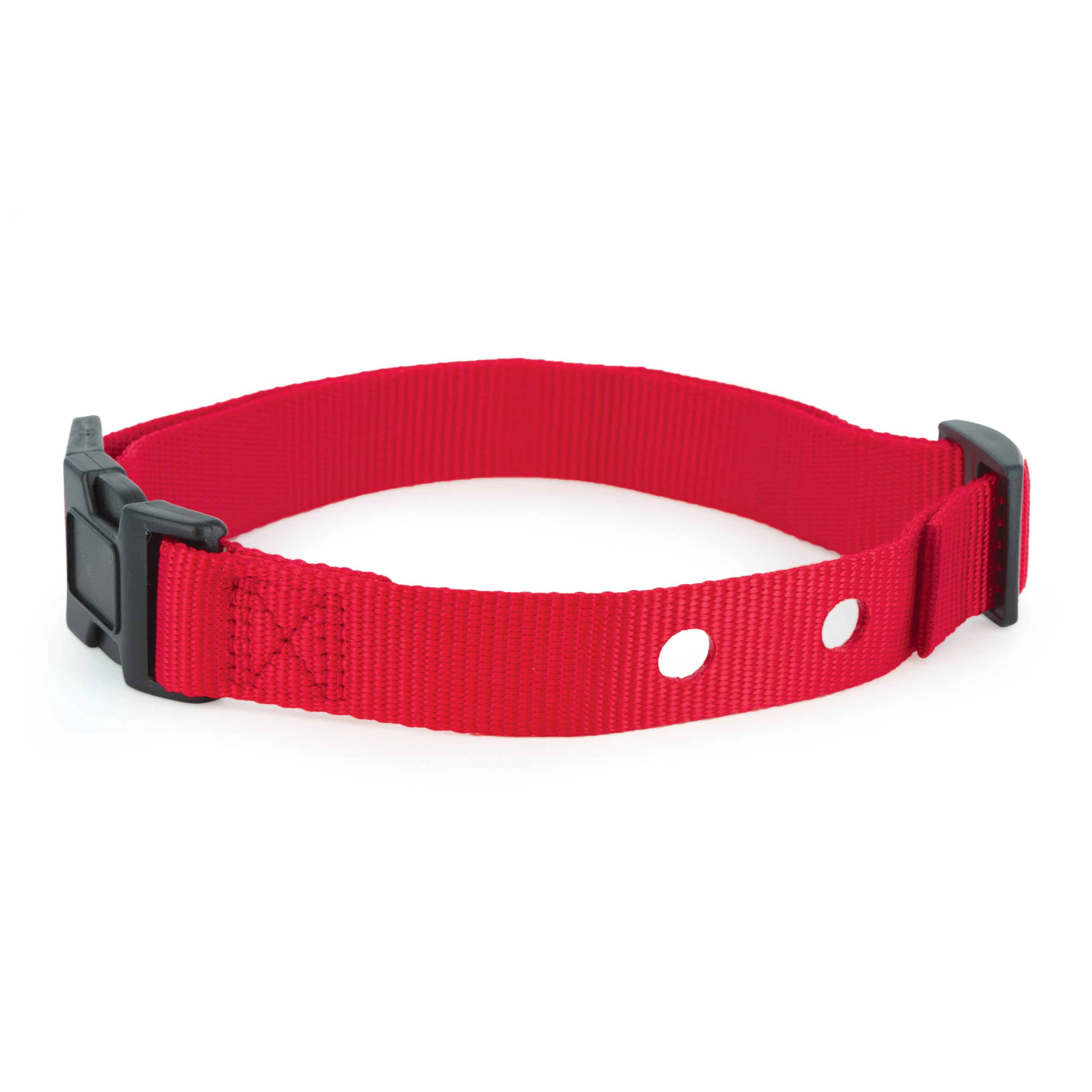 Photo 1 of PetSafe Replacement Collar Strap with 2 Holes - Adjustable Design for In-Ground & Wireless Fence Collars - Lightweight Polyester - Secure, Comfortable Fit