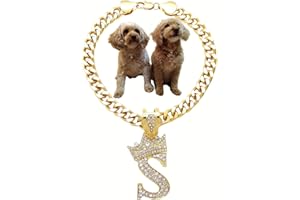 BA UNIQUE FASHION Initial Letter Cuban Chain Dog Chain Pet Chain Pet, Cat, Puppy Necklace (S, 20")